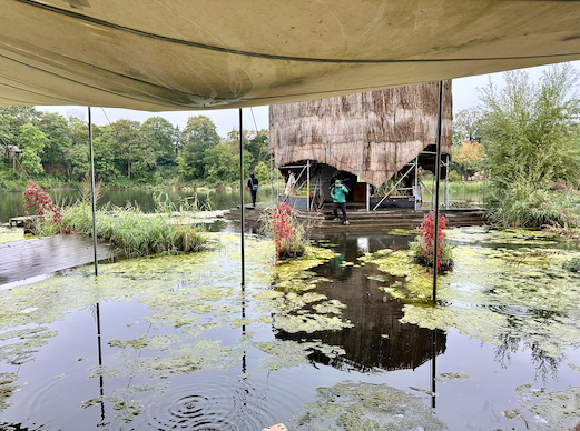 stormwater pool with plants and platform structures